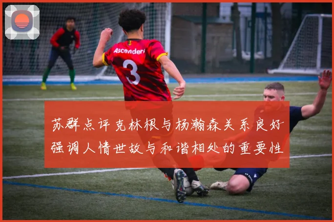 苏群点评克林根与杨瀚森关系良好强调人情世故与和谐相处的重要性