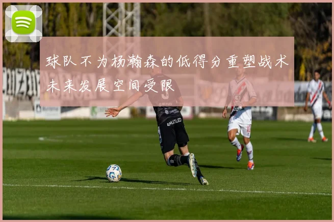 球队不为杨瀚森的低得分重塑战术未来发展空间受限